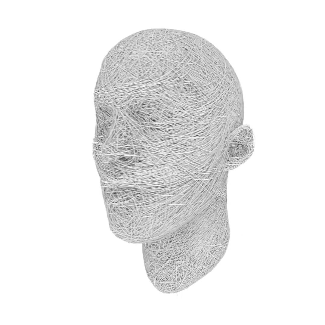 Head Formed by Entangled Threads